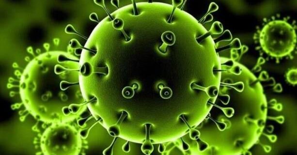 664 حاڵەتی نوێی تووشبوون بە کۆرۆنا تۆمار کرا