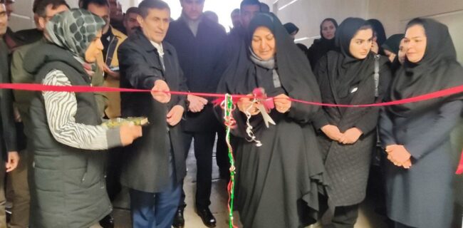 افتتاح نمایشگاه توانمندی های بانوان پیرانشهری افتتاح نمایشگاه توانمندی های بانوان پیرانشهری