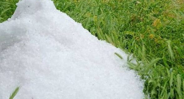 بارش تگرگ در پیرانشهر بررسی و برآورد خسارات احتمالی