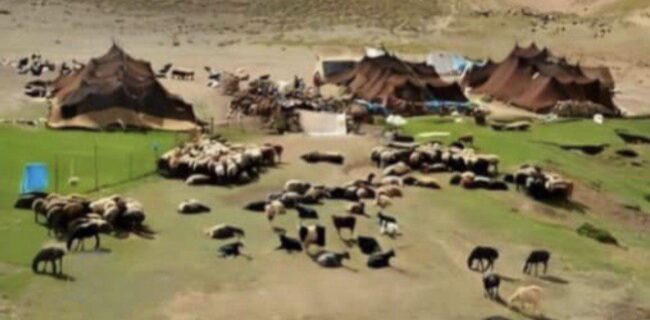 عشایر مرزبانان شجاع و تأمینکنندگان اقتصاد ملی عشایر مرزبانان شجاع و تأمینکنندگان اقتصاد ملی