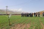 آغاز بهره‌برداری آزمایشی ایستگاه پمپاژ اراضی روستای خالدار